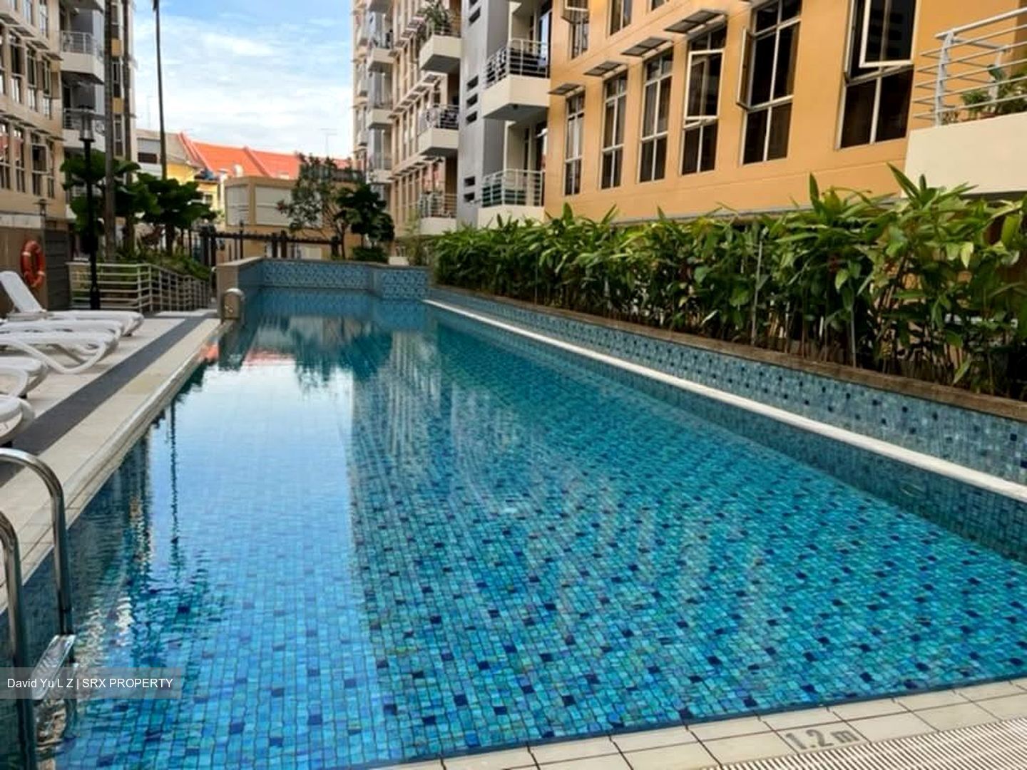 Sims Green (D14), Apartment #561578071